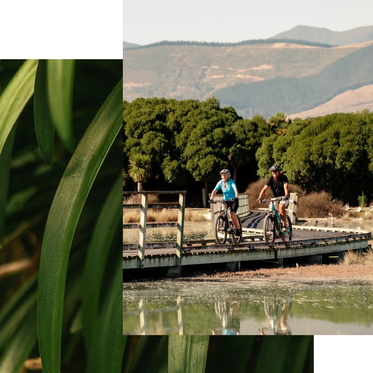 Collage featuring an older couple riding bikes along a wooden boardwalk on the Great Taste Trail near Olive Estate Lifestyle Village.