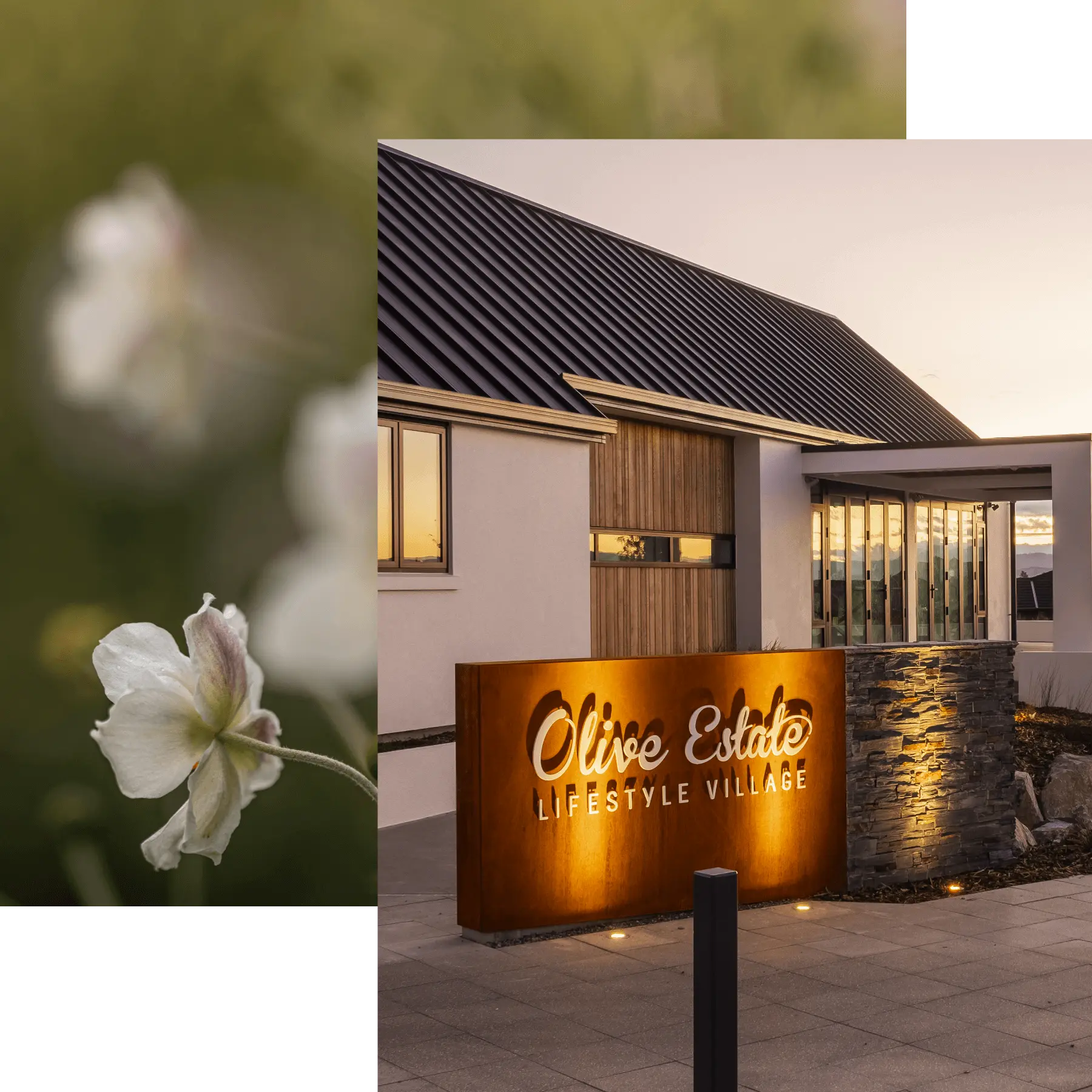 Collage featuring white flowers alongside an illuminated entrance sign for Olive Estate Lifestyle Village.