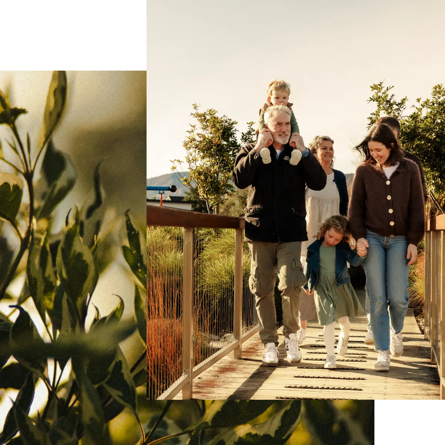 Collage showing a multi-generational family walking across a wooden bridge together at Olive Estate Lifestyle Village.